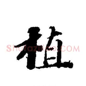 植
