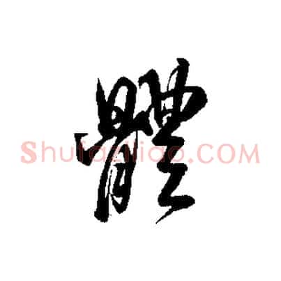 體