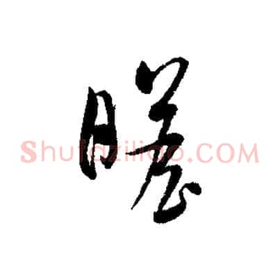 瞻