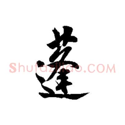 蓬