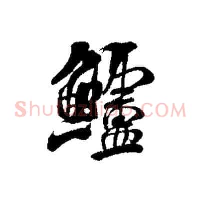 鱸