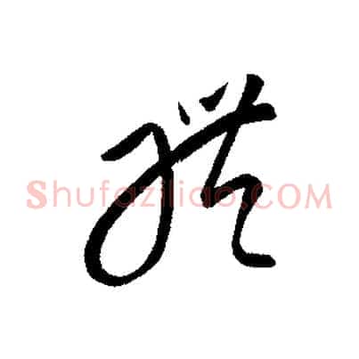 體
