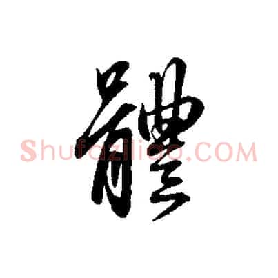 體
