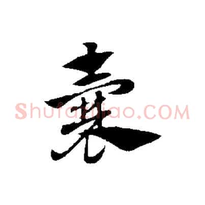 囊