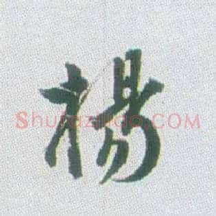 杨
