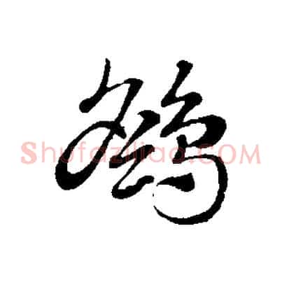 鷂