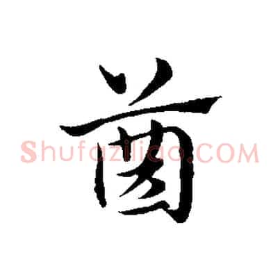 齒