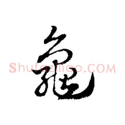 龜