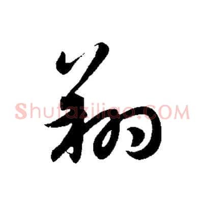 翔