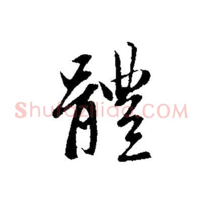 體