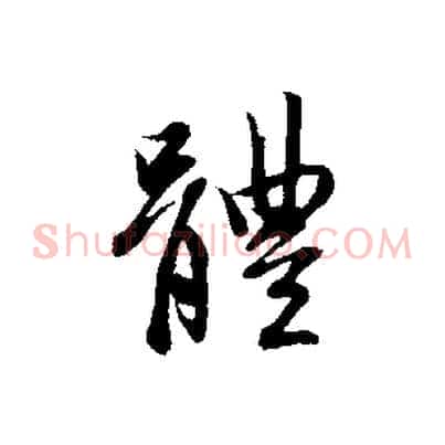 體