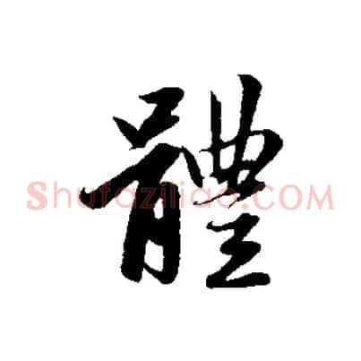 體