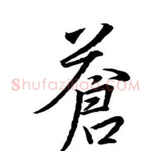 苍