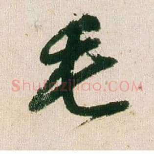 毛