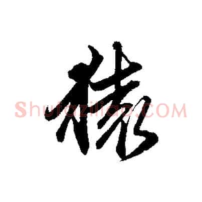 猿