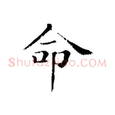 命
