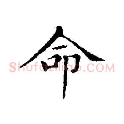 命