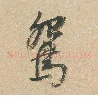 鸳