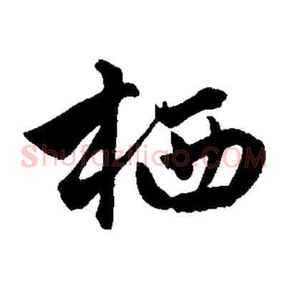 栖