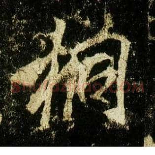 桐