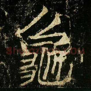 龟