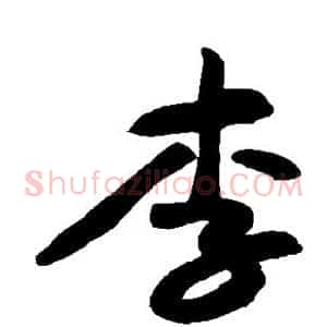 李