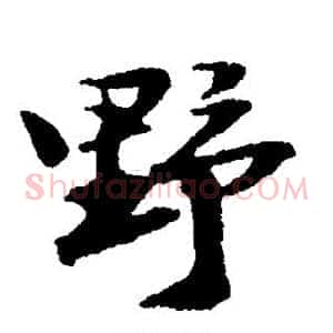 野