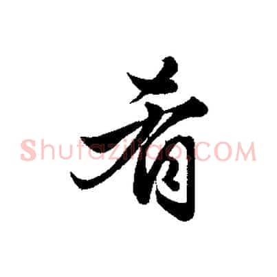 肴