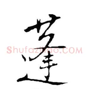 蓬