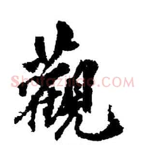 观