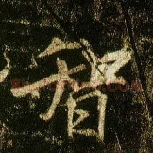 智