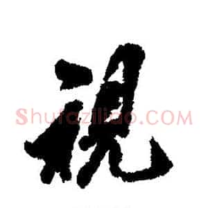 视
