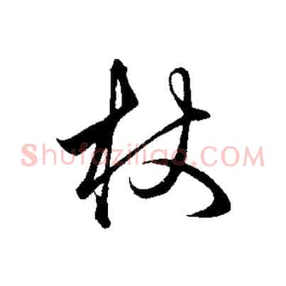 杖