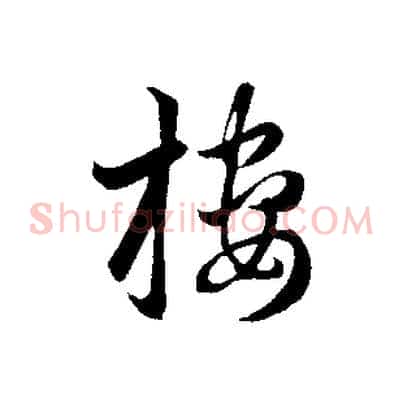 樓