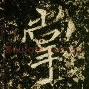 掌