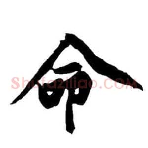 命