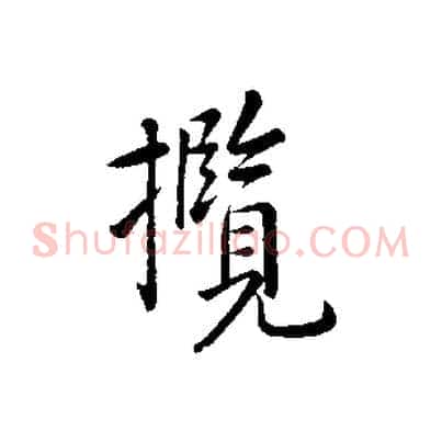 攬