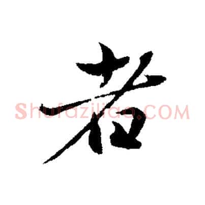 者