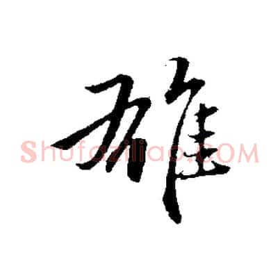 雄