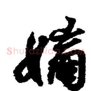 嫡