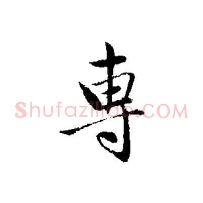 專