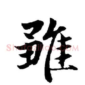 雏