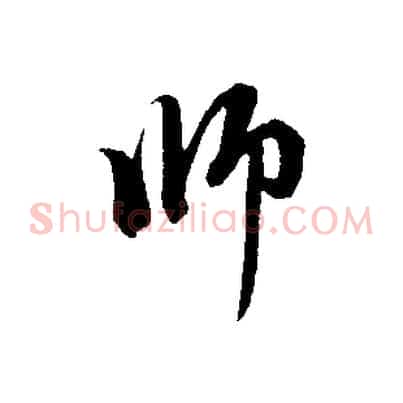 師