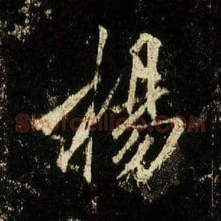 杨