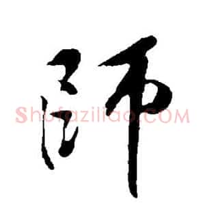 师