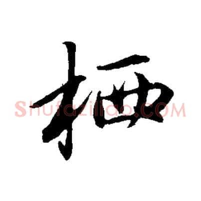 栖