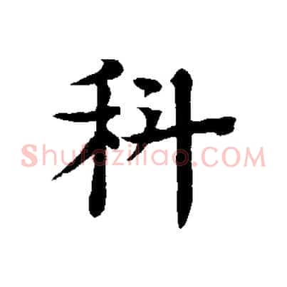 科