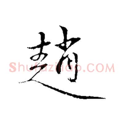 趙