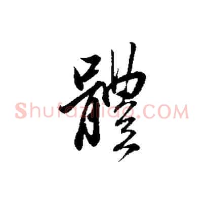 體