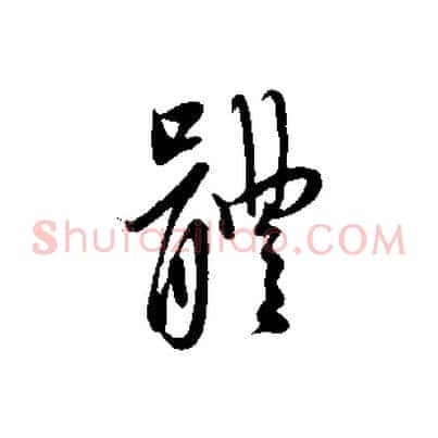 體
